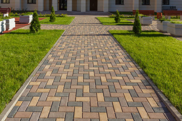 Best Driveway Paving Contractor  in Auburn Lake Trails, CA